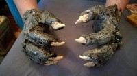 IMG-20190920-WA0021.jpg