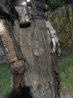 Detail 1