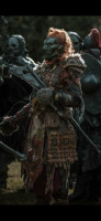 Neta Ork1.jpg