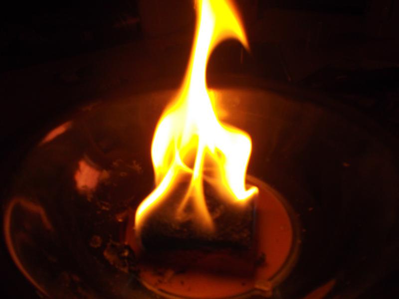 DSCF8296_800x600.jpg