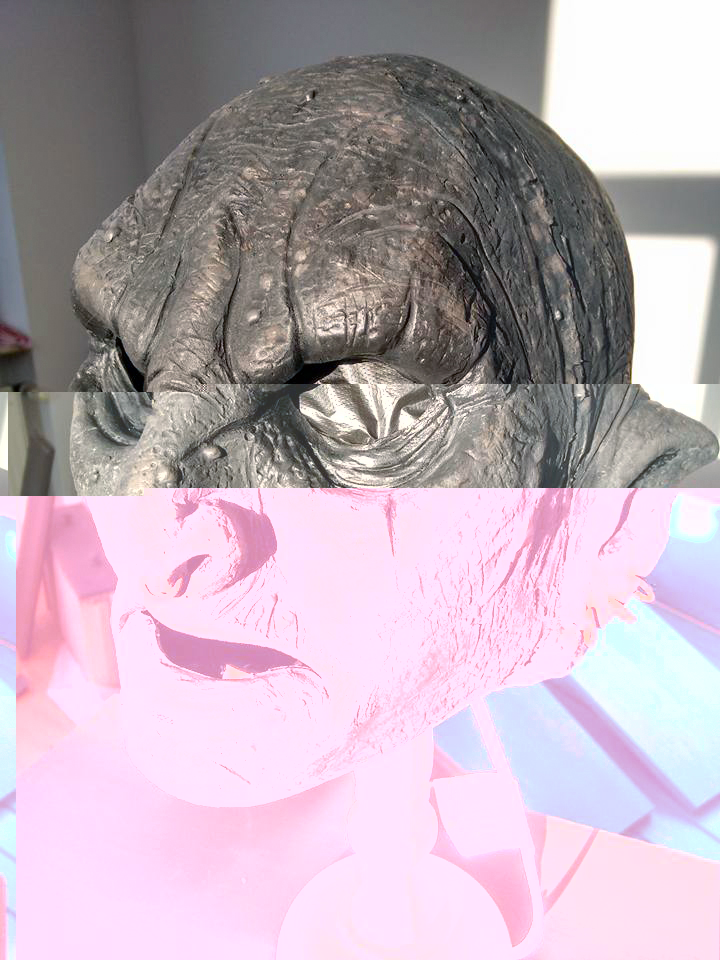 12923210_1016363131790424_4525359214445486074_n.jpg